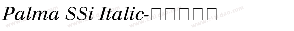 Palma SSi Italic字体转换